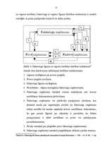 Referāts 'Faktoringa līgums', 13.