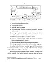 Referāts 'Faktoringa līgums', 15.