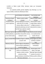 Referāts 'Faktoringa līgums', 16.