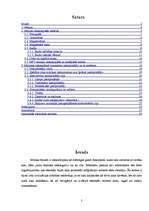 Referāts 'Mūziku atskaņojošo ierīču vēsture un attīstība', 2.