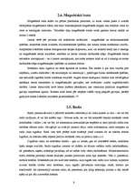 Referāts 'Mūziku atskaņojošo ierīču vēsture un attīstība', 9.