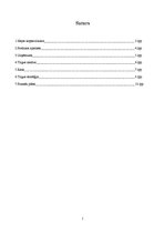 Biznesa plāns 'Biznesa plāns', 2.