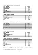 Biznesa plāns 'Biznesa plāns', 11.