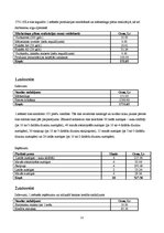 Biznesa plāns 'Biznesa plāns', 12.