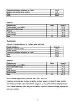 Biznesa plāns 'Biznesa plāns', 13.