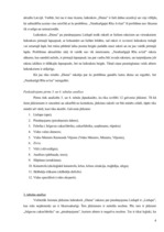 Konspekts 'Kontentanalīze par piesārņojumu Lielupē', 4.