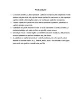 Referāts 'Mazo un vidējo uzņēmumu attīstība 2005.-2007.gadā', 12.