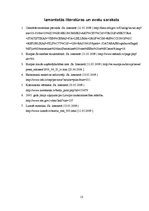 Referāts 'Mazo un vidējo uzņēmumu attīstība 2005.-2007.gadā', 13.