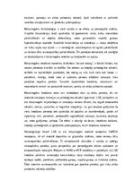 Eseja 'LSD un citi halucinogēni: farmakoloģija, psiholoģiskā ietekme un terapeitiskā pi', 2.