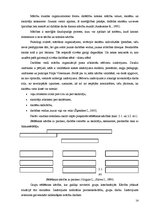 Diplomdarbs 'Tēmas "Meža veltes" apguve 2.klasē', 13.