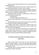 Diplomdarbs 'Tēmas "Meža veltes" apguve 2.klasē', 17.