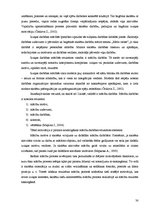 Diplomdarbs 'Tēmas "Meža veltes" apguve 2.klasē', 29.