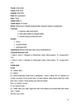 Diplomdarbs 'Tēmas "Meža veltes" apguve 2.klasē', 41.