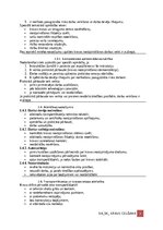 Paraugs 'Darba aizsardzības instrukcija kravu izvietošanai un nostiprināšanai transportlī', 2.