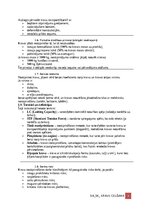 Paraugs 'Darba aizsardzības instrukcija kravu izvietošanai un nostiprināšanai transportlī', 3.