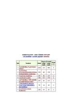 Referāts 'Lielvārdes domes 2005.gada pašvaldību vēlēšanu analīze', 17.