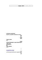 Referāts 'Lielvārdes domes 2005.gada pašvaldību vēlēšanu analīze', 18.