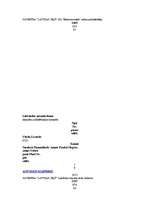 Referāts 'Lielvārdes domes 2005.gada pašvaldību vēlēšanu analīze', 33.