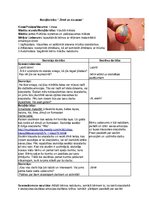 Konspekts 'Bērnu muzikāli radošā darbība', 4.