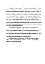 Referāts 'Aktuālākās problēmas ētikas kodeksu īstenošanā', 3.