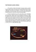 Referāts 'LHC jeb Lielais hadronu paātrinātājs', 2.