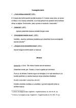 Konspekts 'Emīls Dirkems', 2.