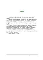 Referāts 'Investīcijas', 3.