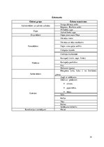 Referāts 'Ēdināšanas uzņēmuma koncepta izstrāde', 19.