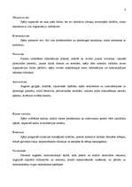 Konspekts 'Vadības stili', 4.