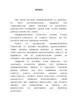 Referāts 'Uzņēmuma saimnieciskās darbības un konkurētspējas analīze', 3.