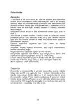 Referāts 'Islande', 10.