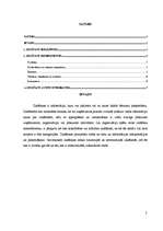 Referāts 'Zināšanu klasificēšana', 15.