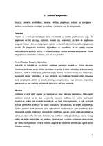 Referāts 'Zināšanu klasificēšana', 18.