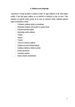 Referāts 'Zināšanu klasificēšana', 20.