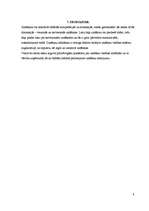 Referāts 'Zināšanu klasificēšana', 21.