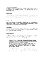 Eseja 'Mans plānojums efektīvai komunikācijai un veiksmīgai ilgtermiņa attiecību nodibi', 5.