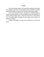 Referāts 'Ciblas novada mārketinga stratēģija', 3.