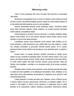 Referāts 'Ciblas novada mārketinga stratēģija', 5.