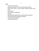 Referāts 'Ciblas novada mārketinga stratēģija', 15.