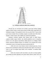 Referāts 'Koksne un tās īpašības', 13.