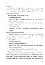 Referāts 'Koksne un tās īpašības', 17.