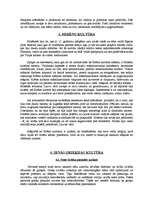 Referāts 'Antīkā kultūra', 3.