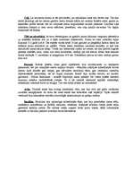 Referāts 'Antīkā kultūra', 13.