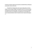 Referāts 'Massage Therapies', 5.