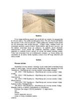 Konspekts 'Finieris un saplāksnis', 2.