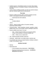 Paraugs 'Ģenētisko algoritmu eksāmena atbildes', 2.