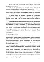 Konspekts 'Minerālās barošanās ietekme uz spraudeņiem to apsakņošanās laikā', 4.