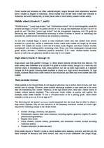 Referāts 'Education in the USA and United Kingdom', 3.