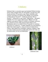 Konspekts 'Līdakaste', 4.