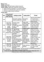 Paraugs 'Matemātikas mācību metodika 1.-6.klasei. Diferencēta ieskaite', 13.